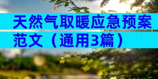天然气取暖应急预案范文（通用3篇）