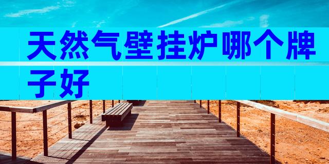 天然气壁挂炉哪个牌子好