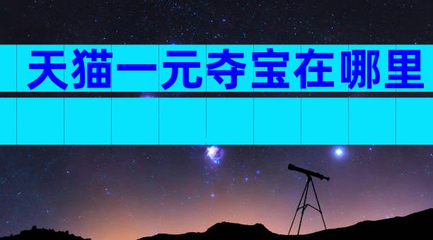 天猫一元夺宝在哪里