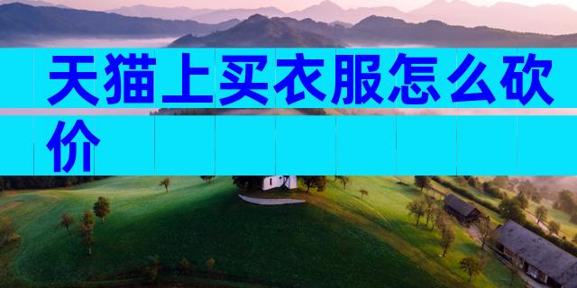 天猫上买衣服怎么砍价