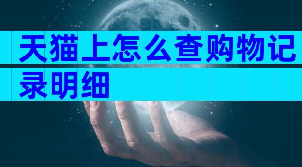 天猫上怎么查购物记录明细