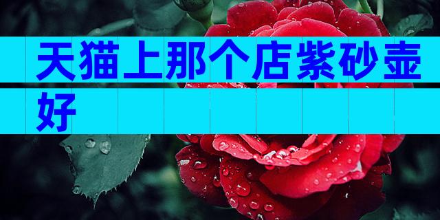 天猫上那个店紫砂壶好