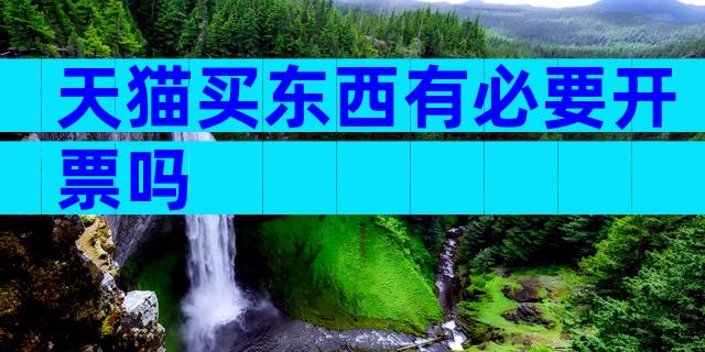 天猫买东西有必要开票吗