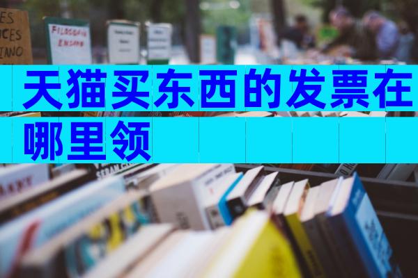 天猫买东西的发票在哪里领