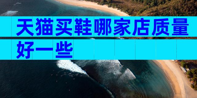 天猫买鞋哪家店质量好一些