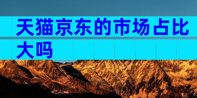 天猫京东的市场占比大吗