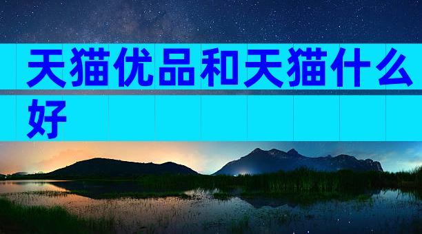 天猫优品和天猫什么好