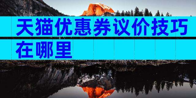 天猫优惠券议价技巧在哪里