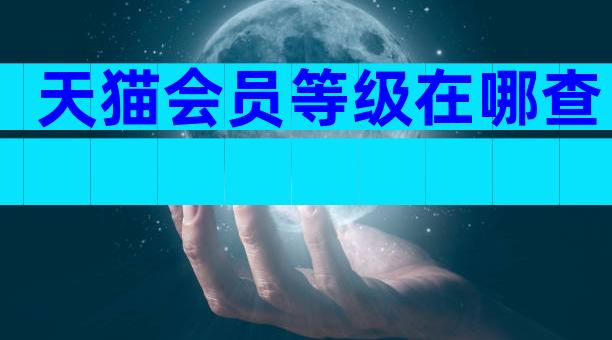 天猫会员等级在哪查