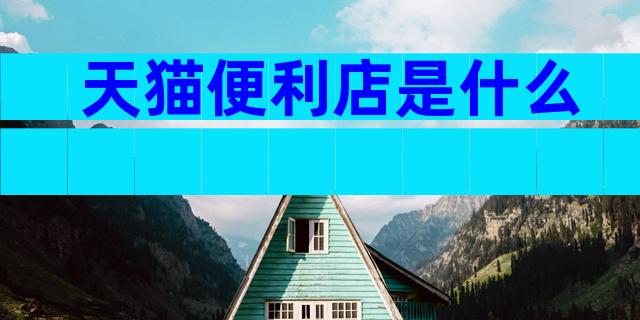 天猫便利店是什么