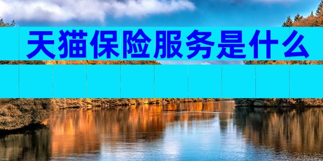 天猫保险服务是什么