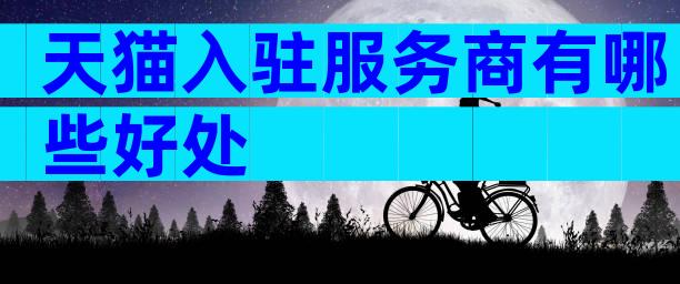 天猫入驻服务商有哪些好处