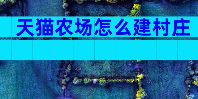 天猫农场怎么建村庄