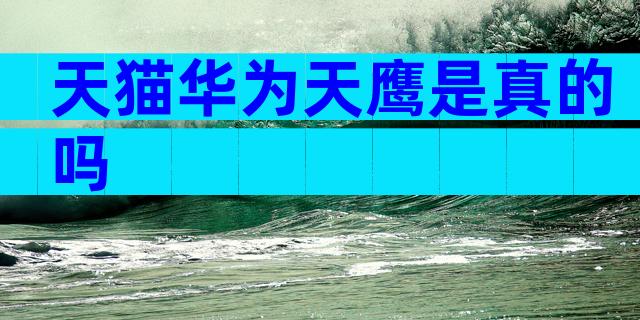 天猫华为天鹰是真的吗