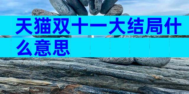 天猫双十一大结局什么意思