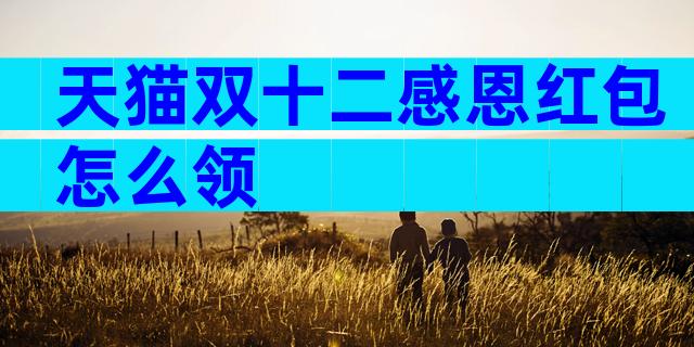 天猫双十二感恩红包怎么领