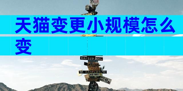 天猫变更小规模怎么变