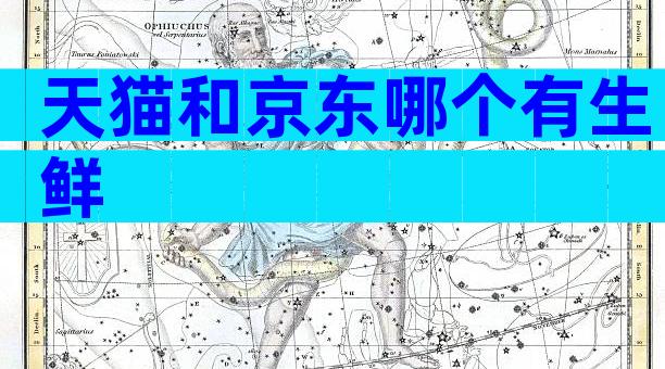 天猫和京东哪个有生鲜