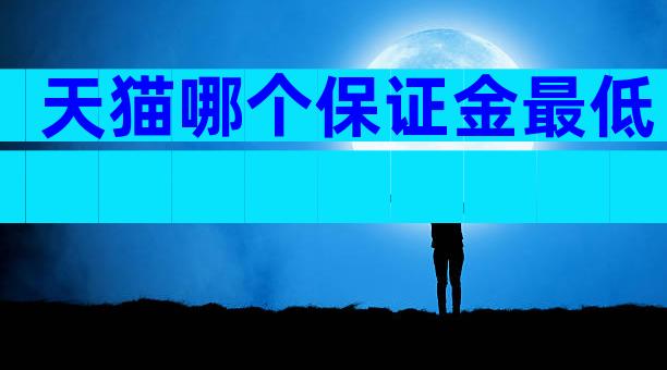 天猫哪个保证金最低