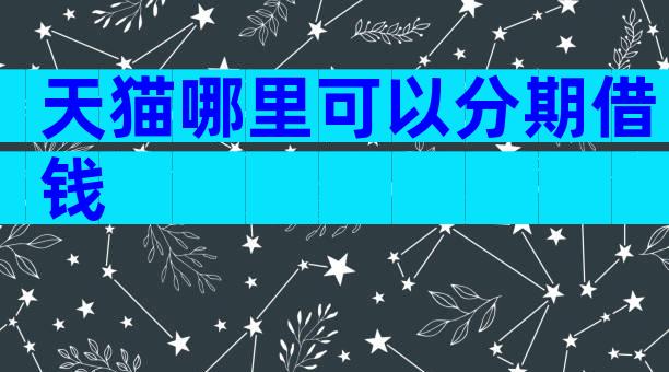 天猫哪里可以分期借钱