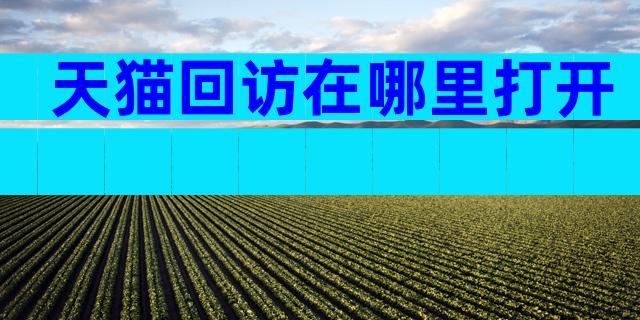 天猫回访在哪里打开