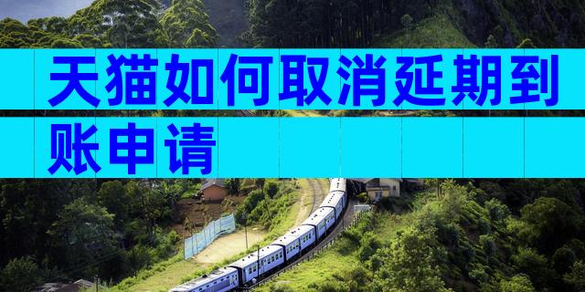 天猫如何取消延期到账申请