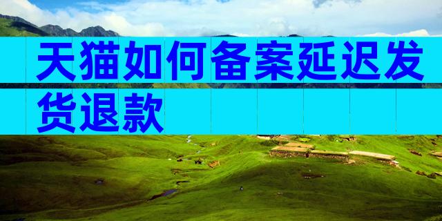 天猫如何备案延迟发货退款