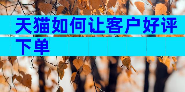 天猫如何让客户好评下单