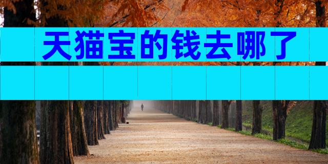 天猫宝的钱去哪了