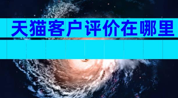 天猫客户评价在哪里