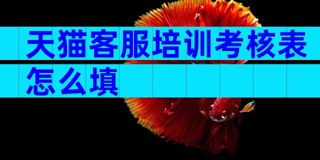 天猫客服培训考核表怎么填