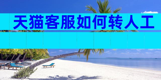 天猫客服如何转人工