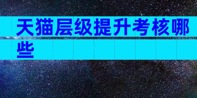 天猫层级提升考核哪些