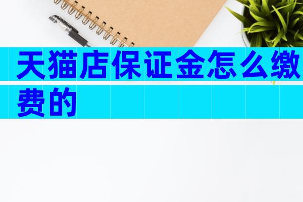 天猫店保证金怎么缴费的