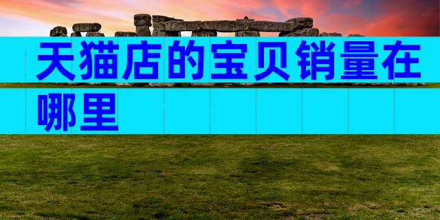 天猫店的宝贝销量在哪里