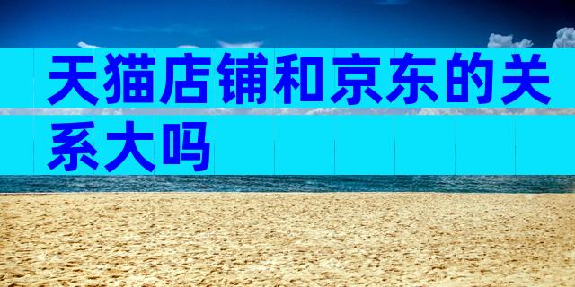 天猫店铺和京东的关系大吗