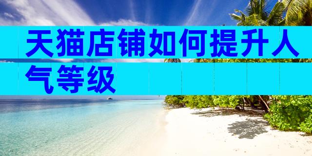 天猫店铺如何提升人气等级