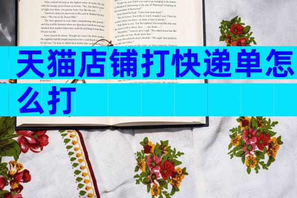 天猫店铺打快递单怎么打