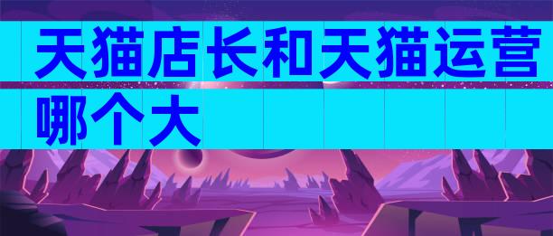 天猫店长和天猫运营哪个大