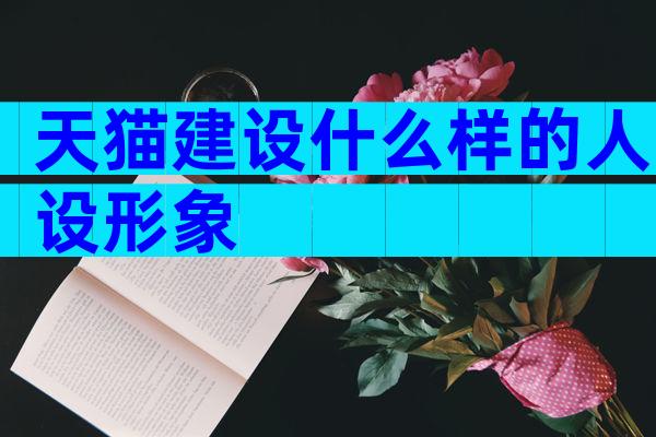 天猫建设什么样的人设形象