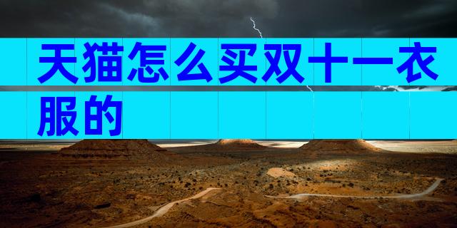 天猫怎么买双十一衣服的