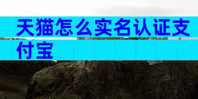 天猫怎么实名认证支付宝