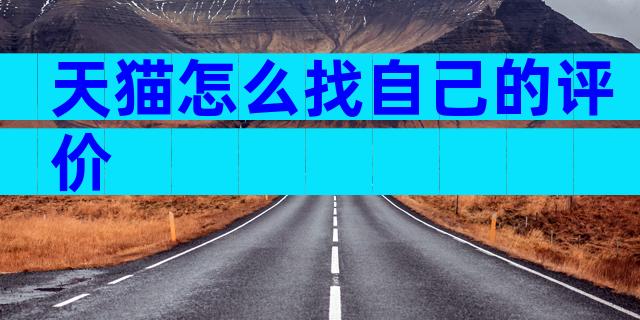 天猫怎么找自己的评价