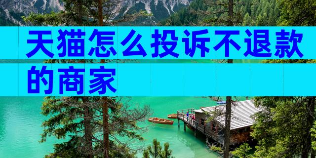 天猫怎么投诉不退款的商家