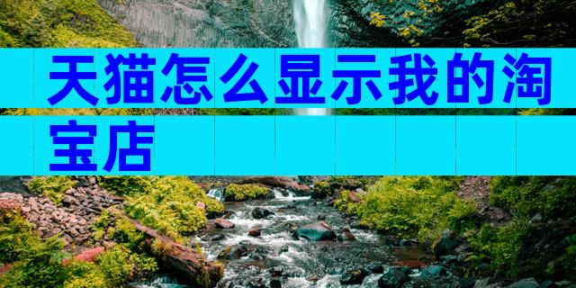 天猫怎么显示我的淘宝店