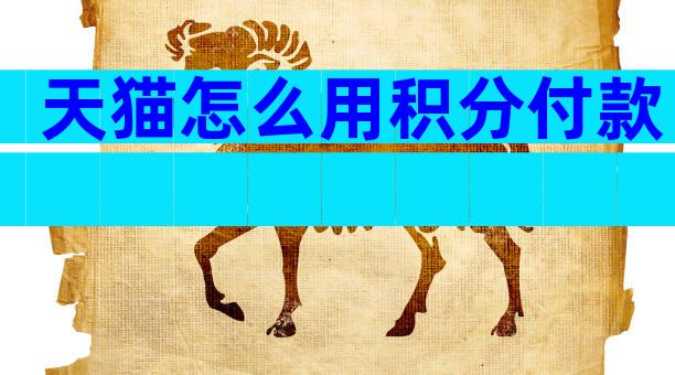 天猫怎么用积分付款