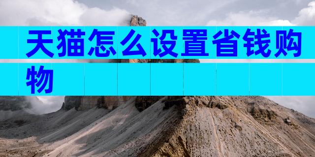 天猫怎么设置省钱购物