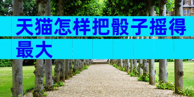 天猫怎样把骰子摇得最大