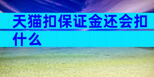天猫扣保证金还会扣什么
