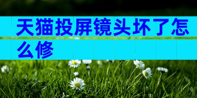 天猫投屏镜头坏了怎么修